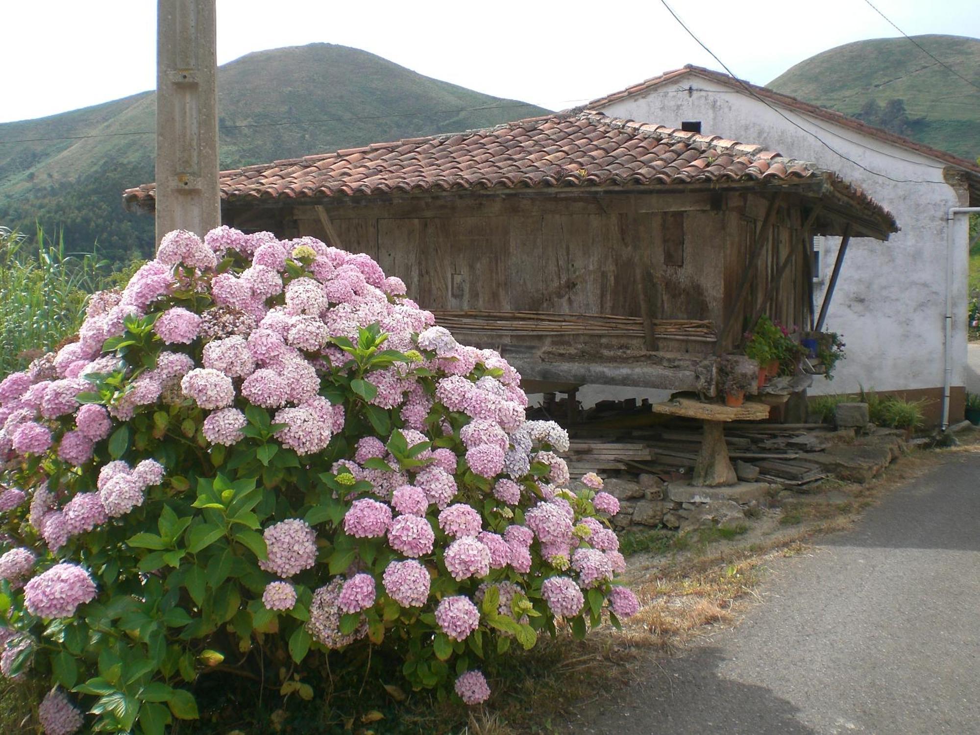 Ashram De La Peral Guest House Illas Exterior photo